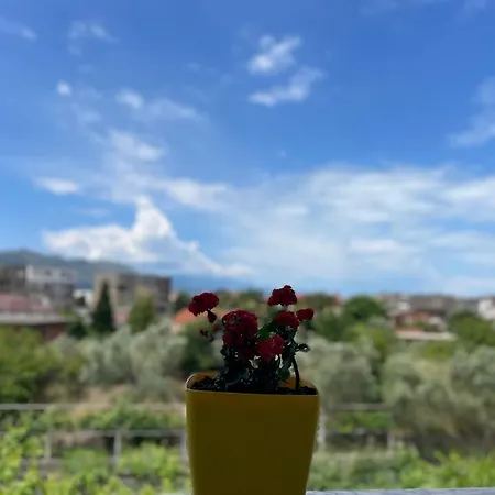 Sol Penzion