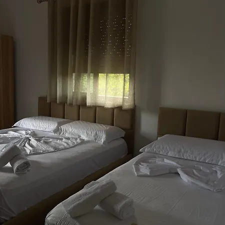 Prela's 招待所 Shkodër